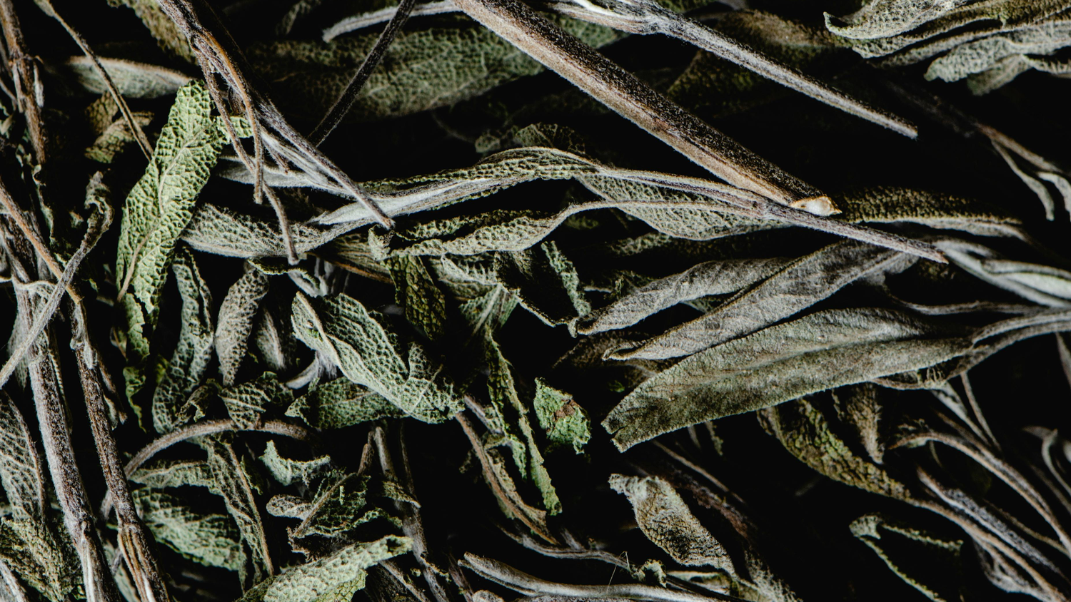Herbal Scents