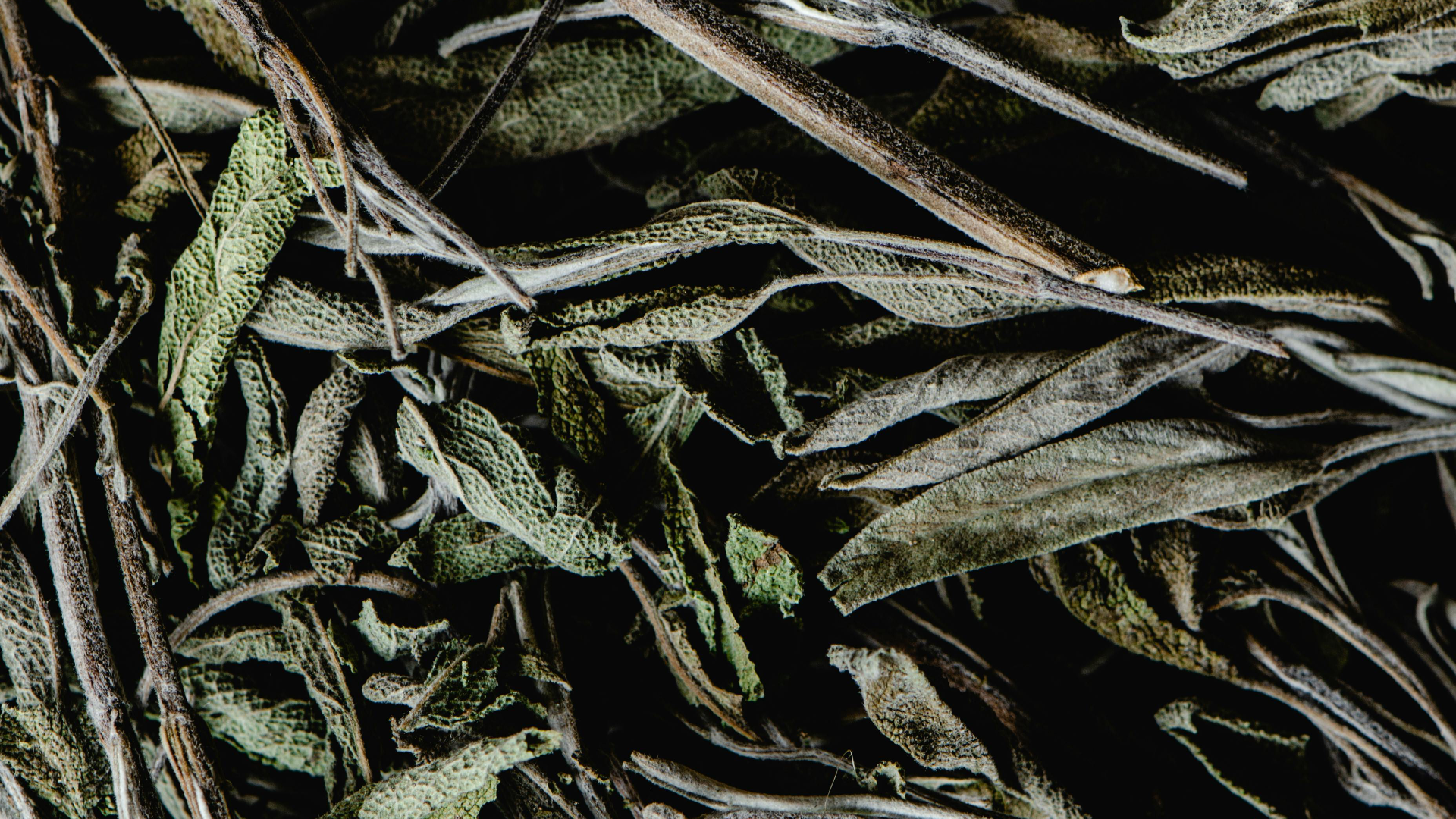 Herbal Scents