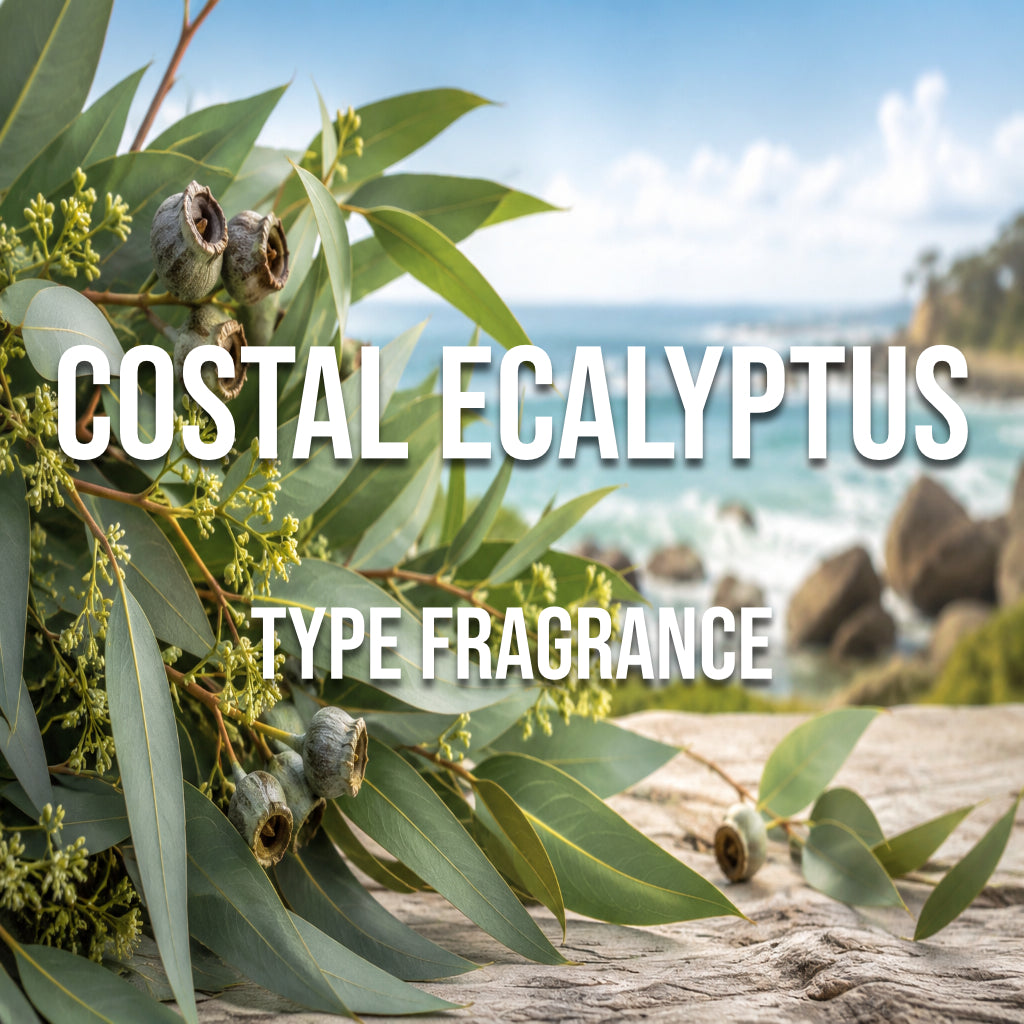 Costal Ecalyptus Type Fragrance - World of Aromas