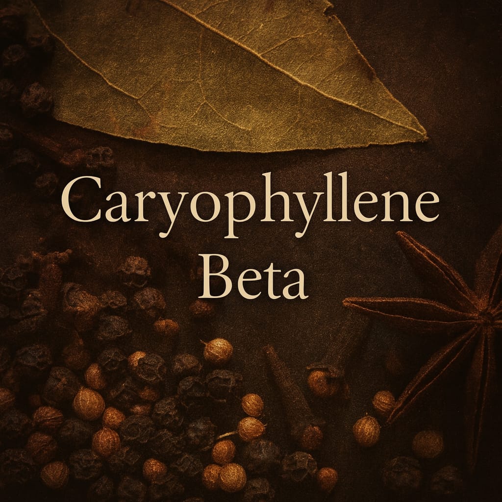 Caryophyllene Beta (Natural)