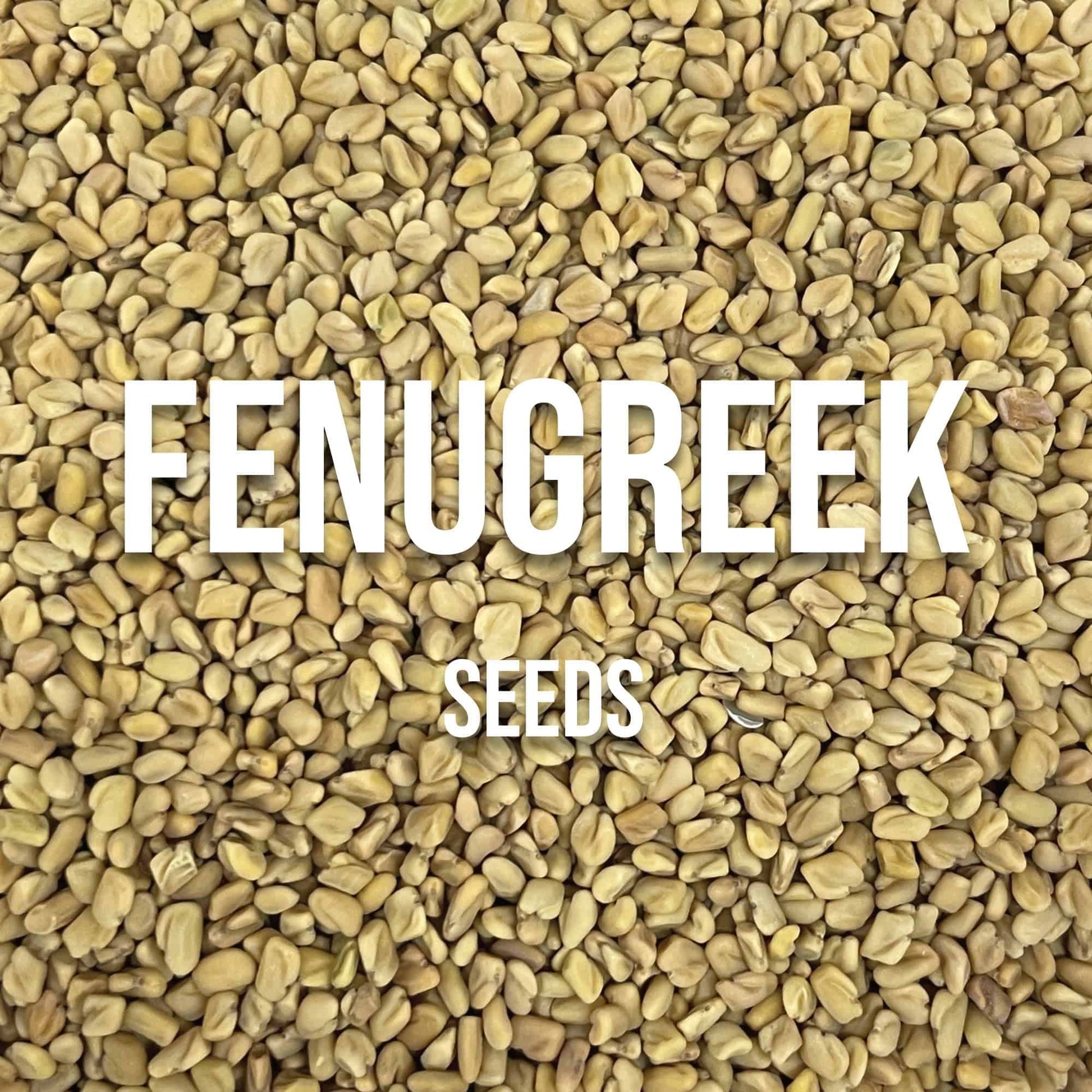 Fenugreek Seed - World of Aromas