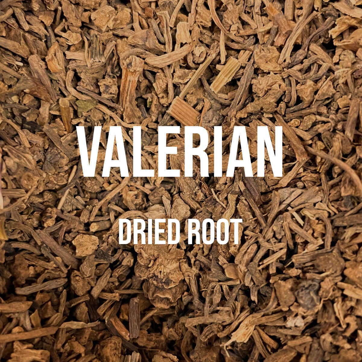 Valerian Root - World of Aromas