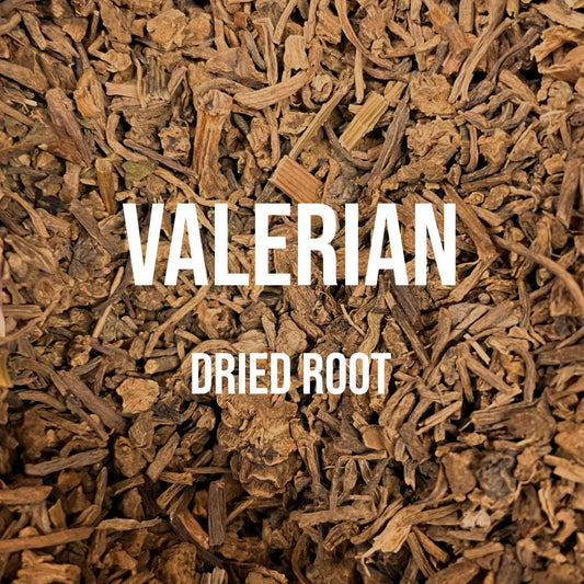 Valerian Root - World of Aromas