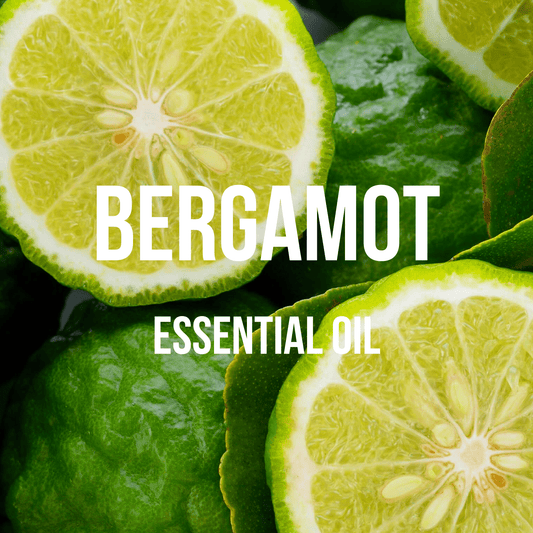 Bergamot Essential Oil 5% Dilution - World of Aromas