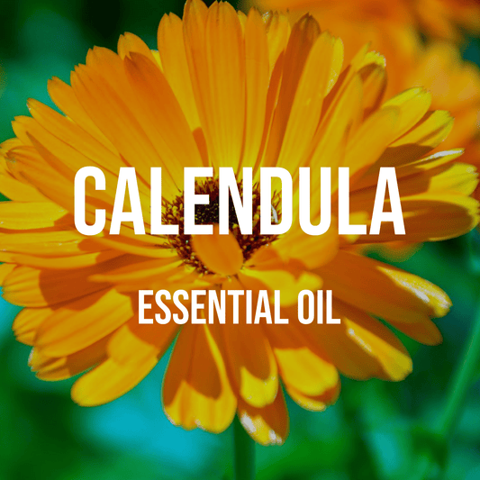 Calendula (Marigold) Essential Oil - World of Aromas
