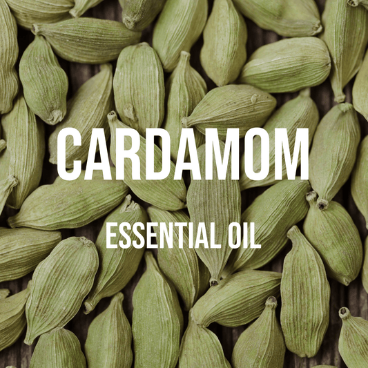 Cardamom Essential Oil - World of Aromas