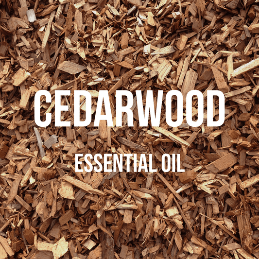 Cedarwood Essential Oil - World of Aromas