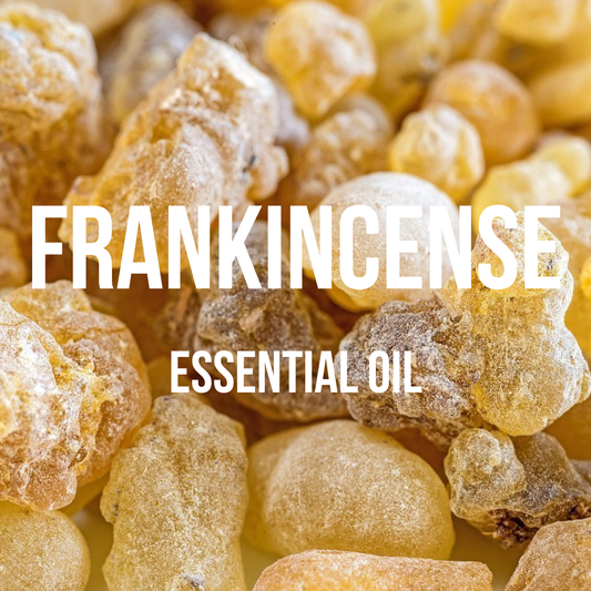 Frankincense Essential Oil - World of Aromas