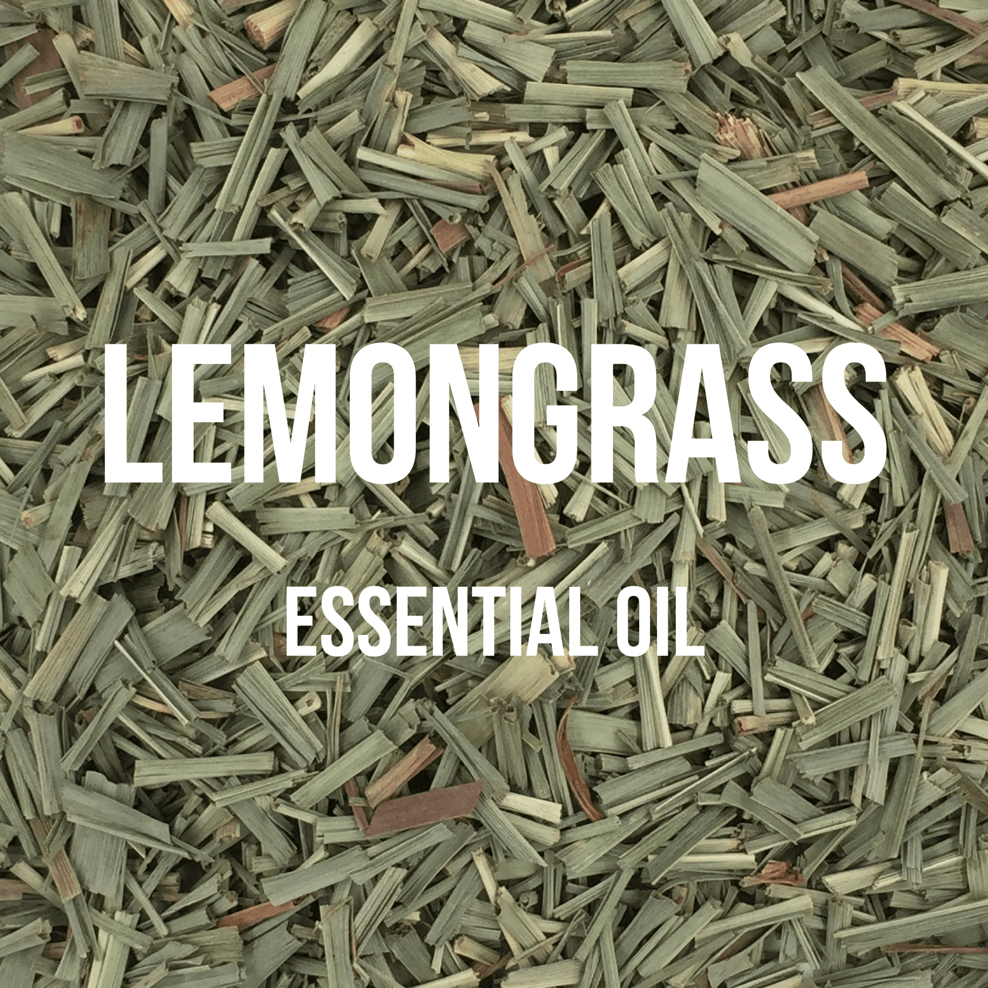 Lemongrass Essential Oil - World of Aromas