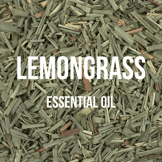 Lemongrass Essential Oil - World of Aromas