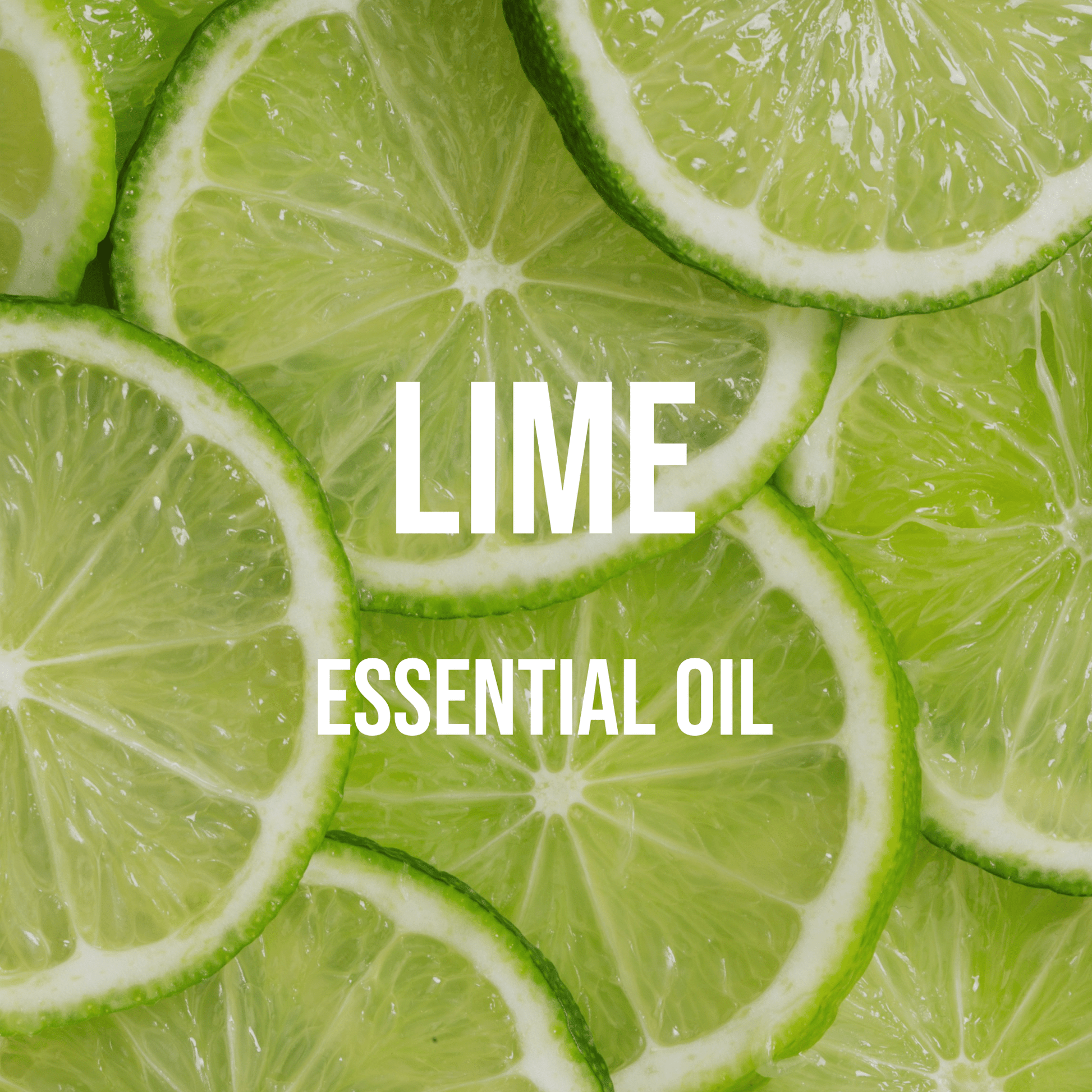 Lime Essential Oil - World of Aromas