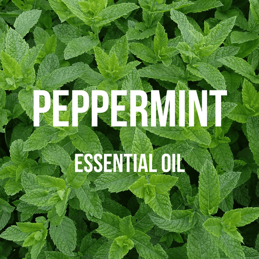 Peppermint Essential Oil - World of Aromas