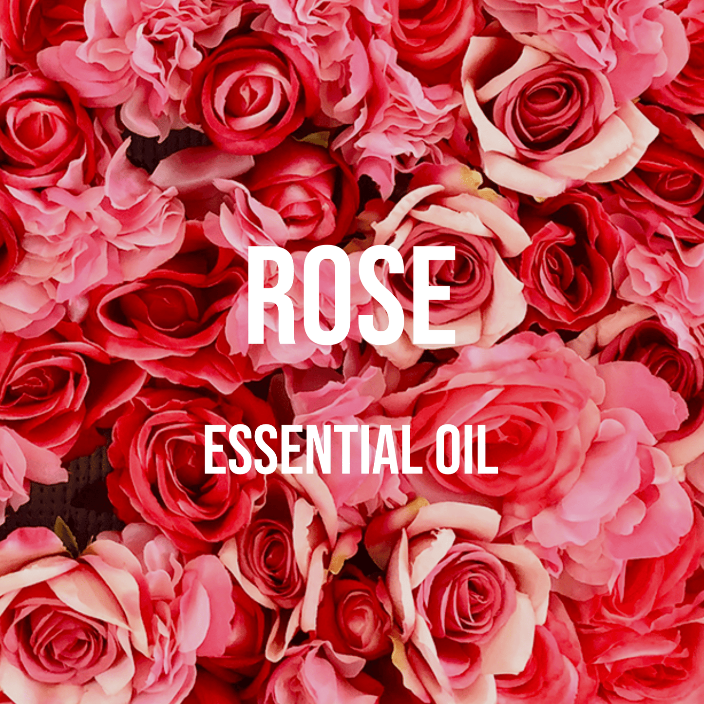 Rose Essential Oil (Turkish) - World of Aromas