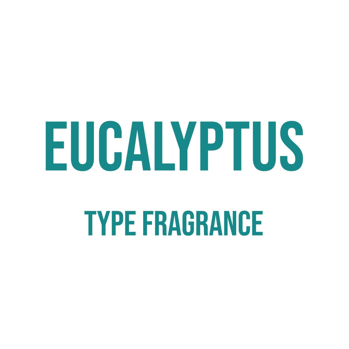 Eucalyptus Type Fragrance - World of Aromas