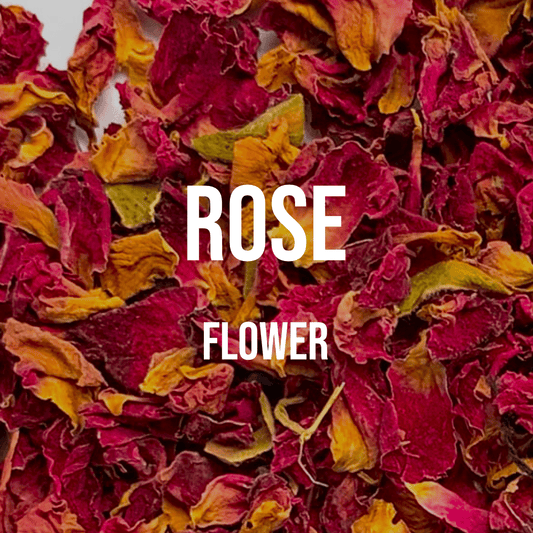 Rose Flower - World of Aromas
