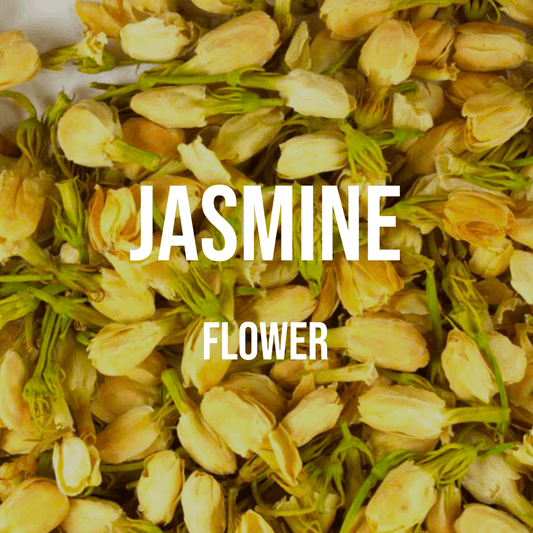 Jasmine Flower - World of Aromas