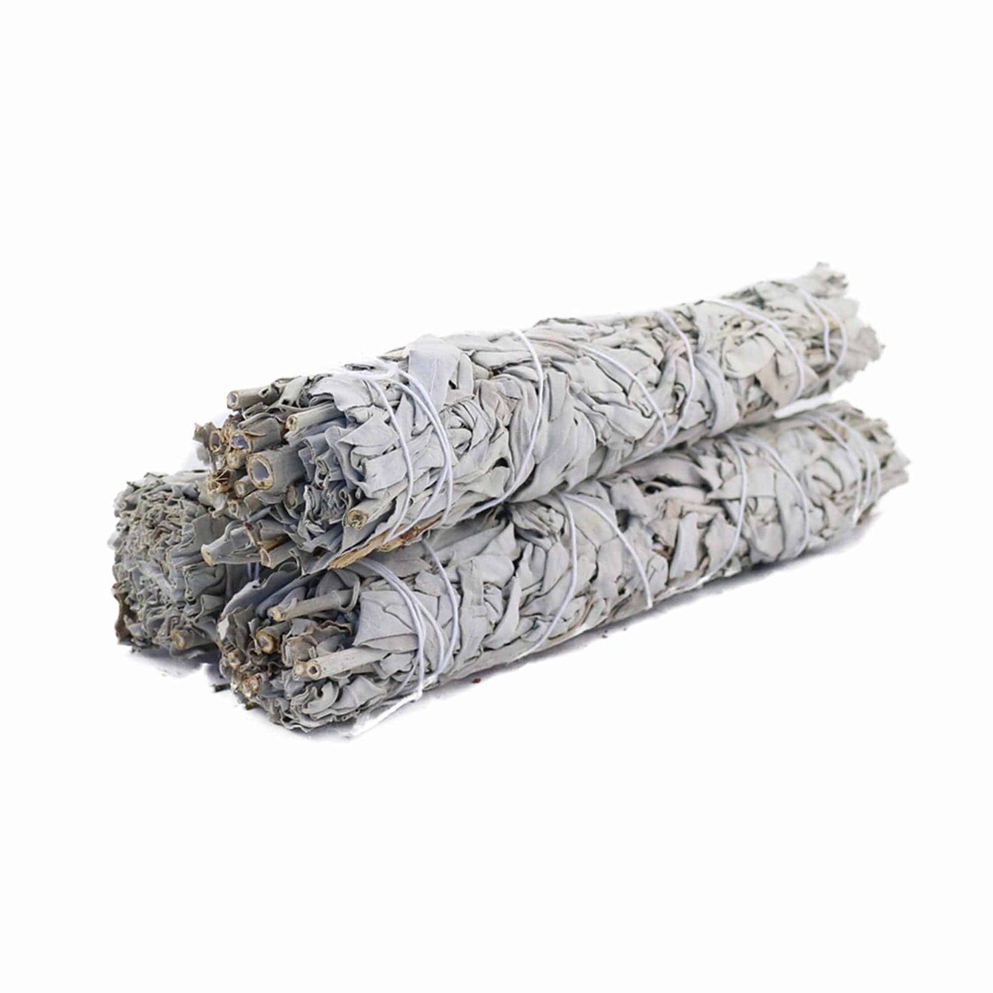 White Sage - World of Aromas