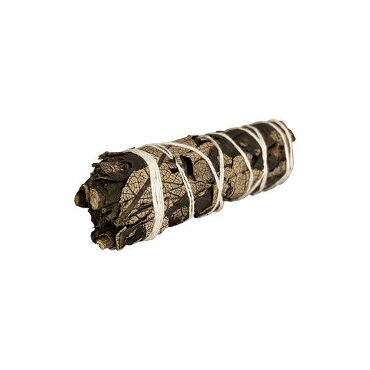 Black Sage - World of Aromas