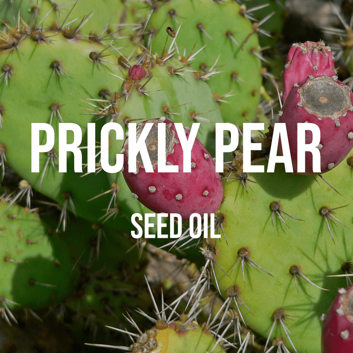 Prickly Pear Seed Oil - World of Aromas