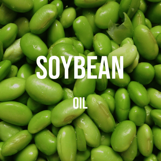 Soybean Oil - World of Aromas