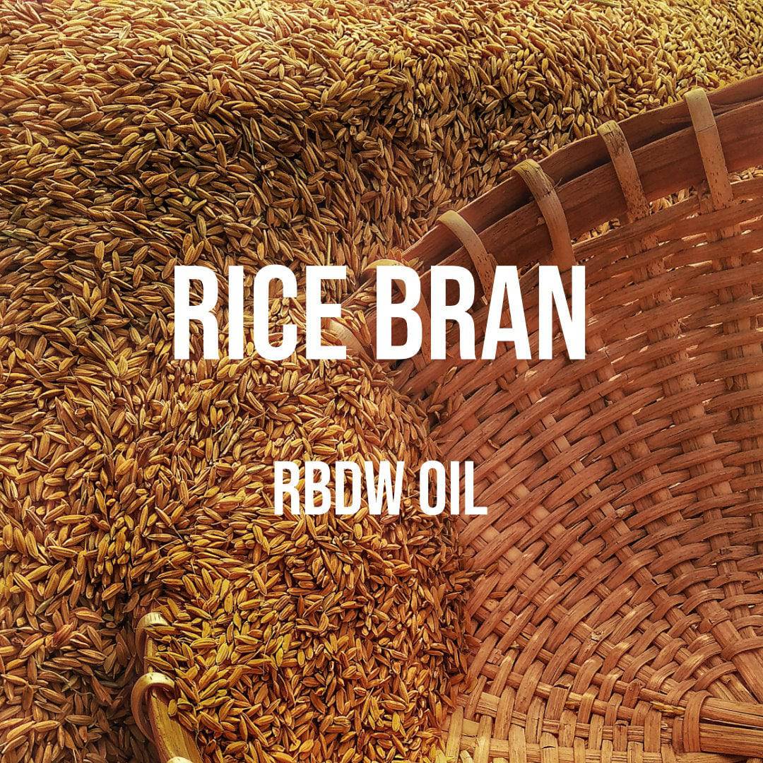 Rice Bran Oil (RBDW) - World of Aromas