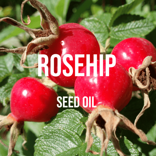 Rosehip Oil - World of Aromas
