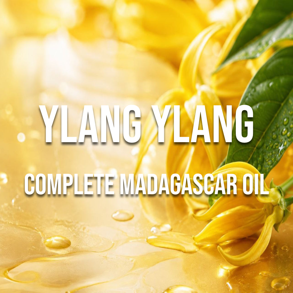 Ylang Ylang Complete Madagascar Oil - World of Aromas