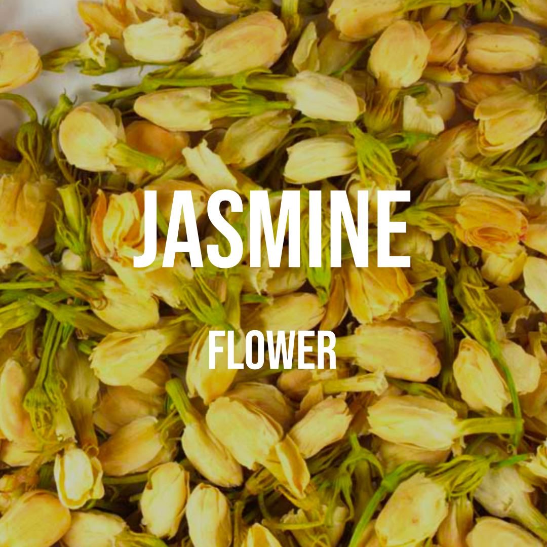 Jasmine Flower – World of Aromas
