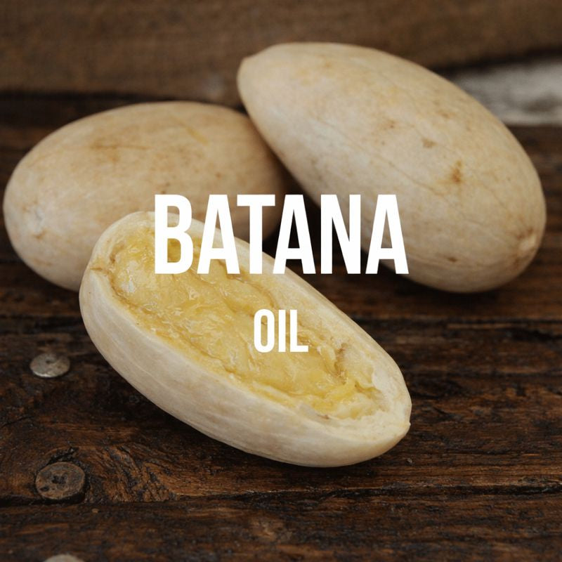 Batana Oil - World of Aromas