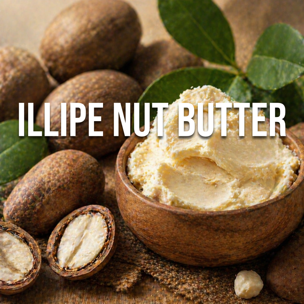 Illipe Nut Butter - World of Aromas