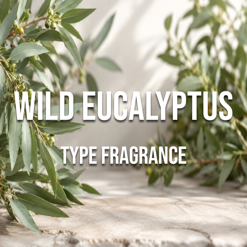 Wild Eucalyptus type fragrance - World of Aromas