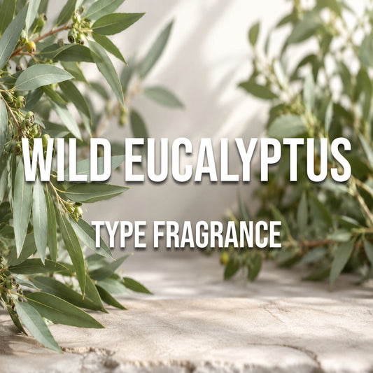 Wild Eucalyptus type fragrance - World of Aromas