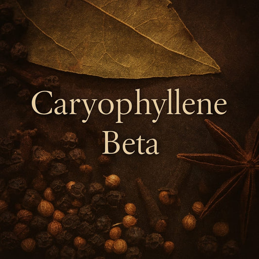Caryophyllene Beta (Natural)