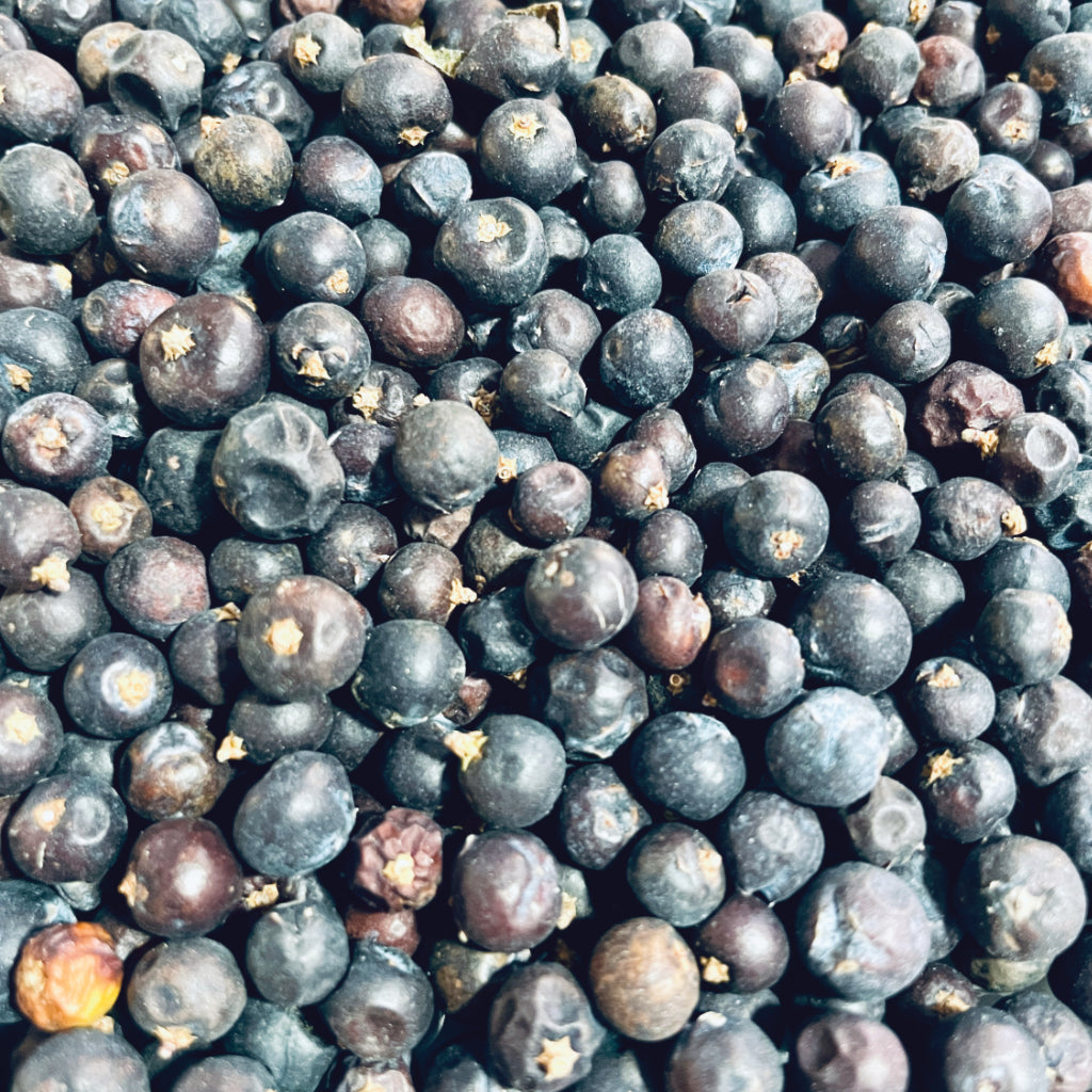 Juniper Berry - World of Aromas