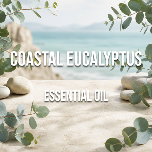 Coastal Eucalyptus Essential Oil - World of Aromas