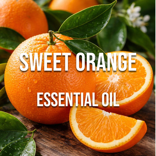 Sweet Orange Essential oil - World of Aromas