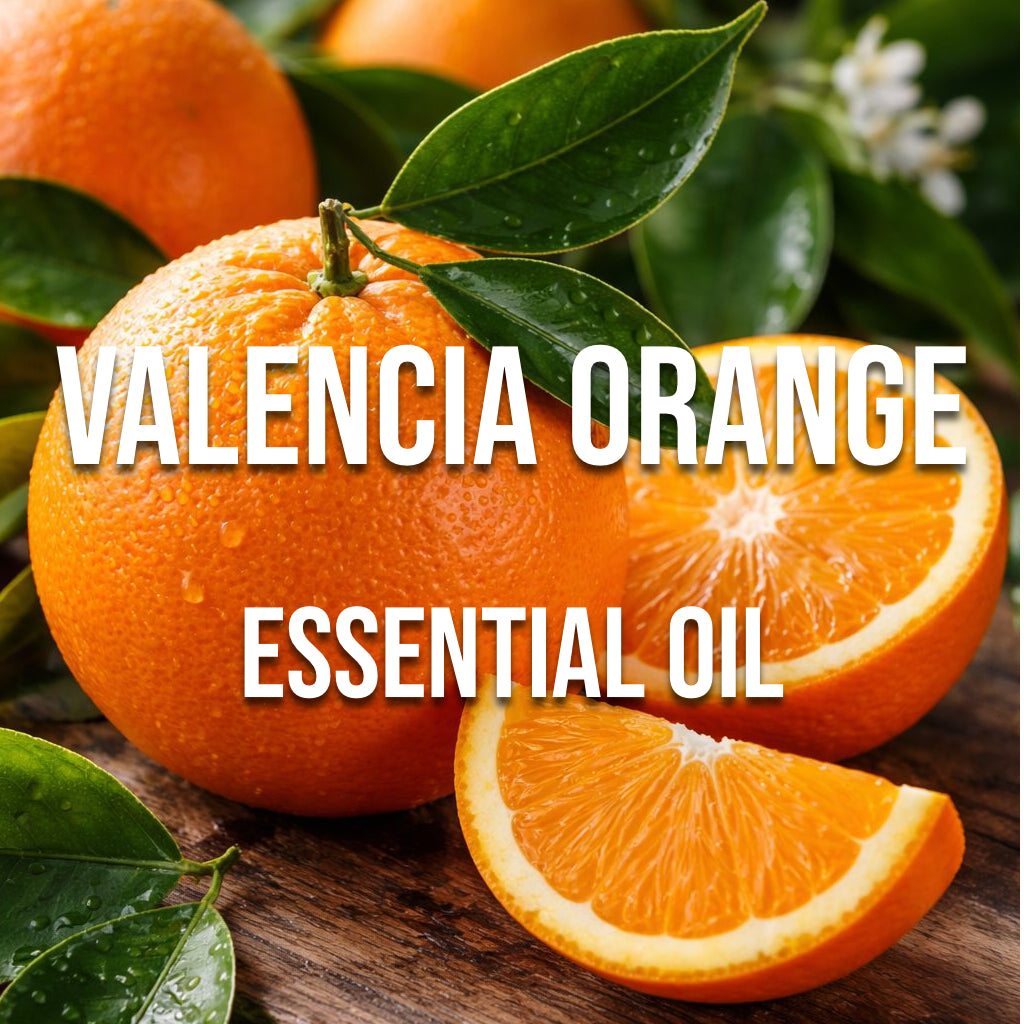 Valencia Orange Essential oil - World of Aromas