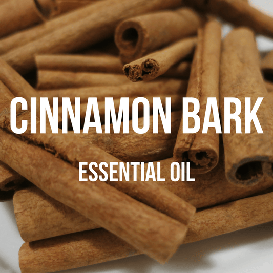 Cinnamon Bark Essential Oil