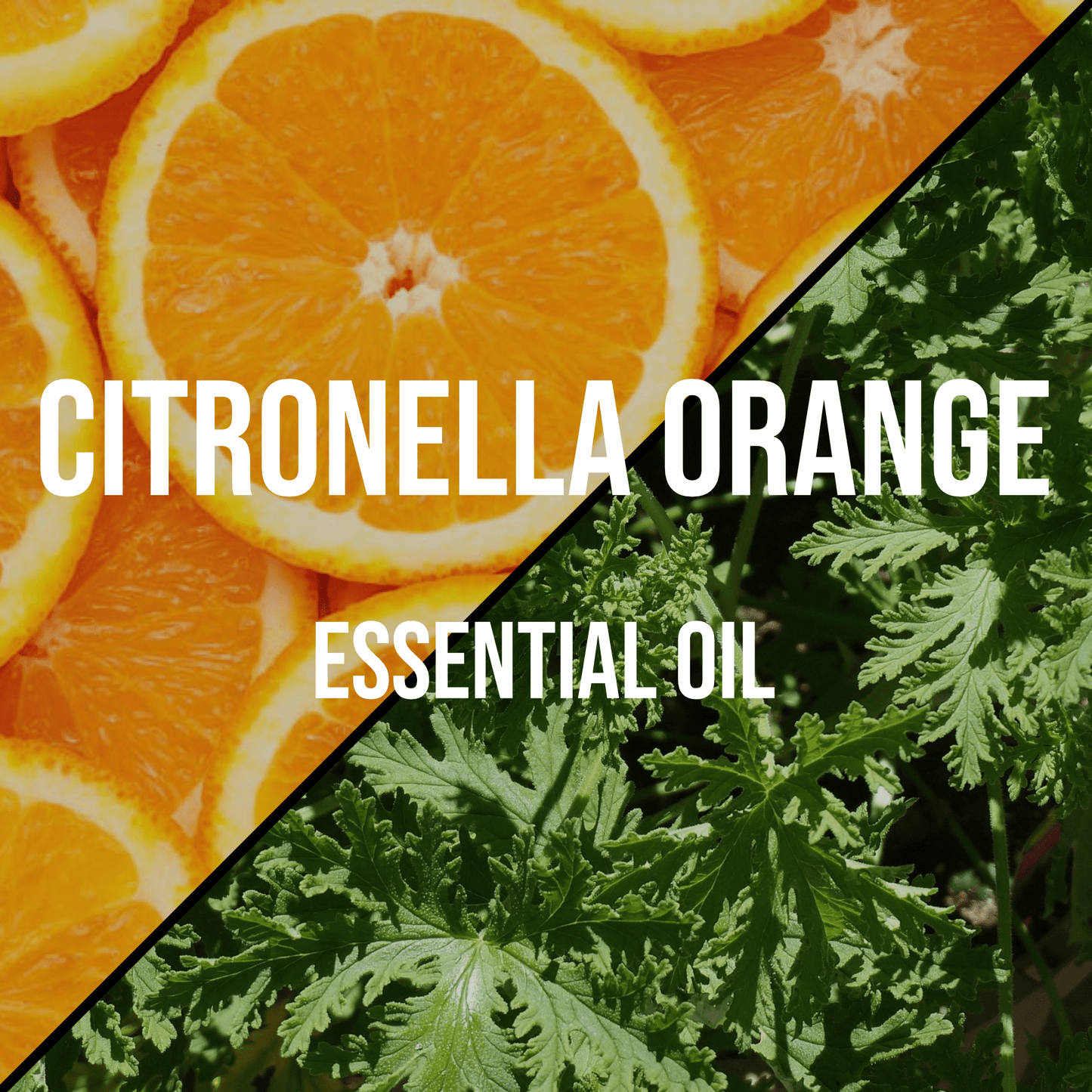 Citronella Orange Essential Oil