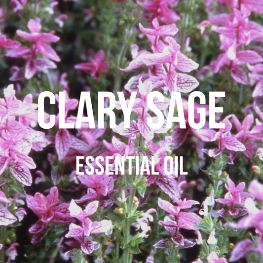 Clary Sage Essential Oil