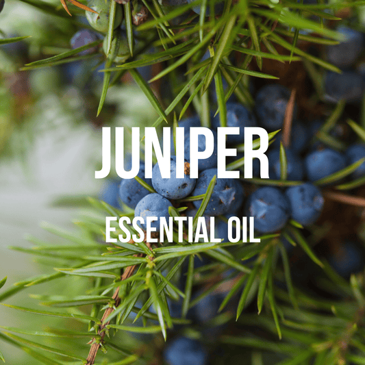 Juniper Essential Oil