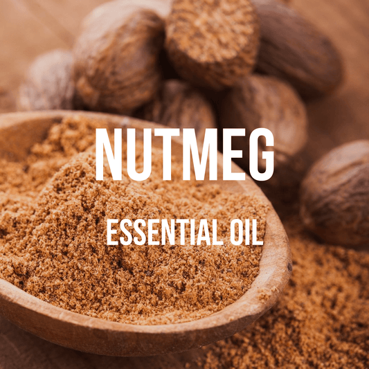 Nutmeg Essential Oil