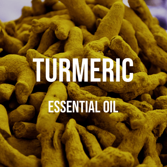 Turmeric Essential Oil