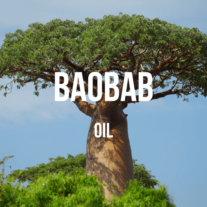 Baobab Oil