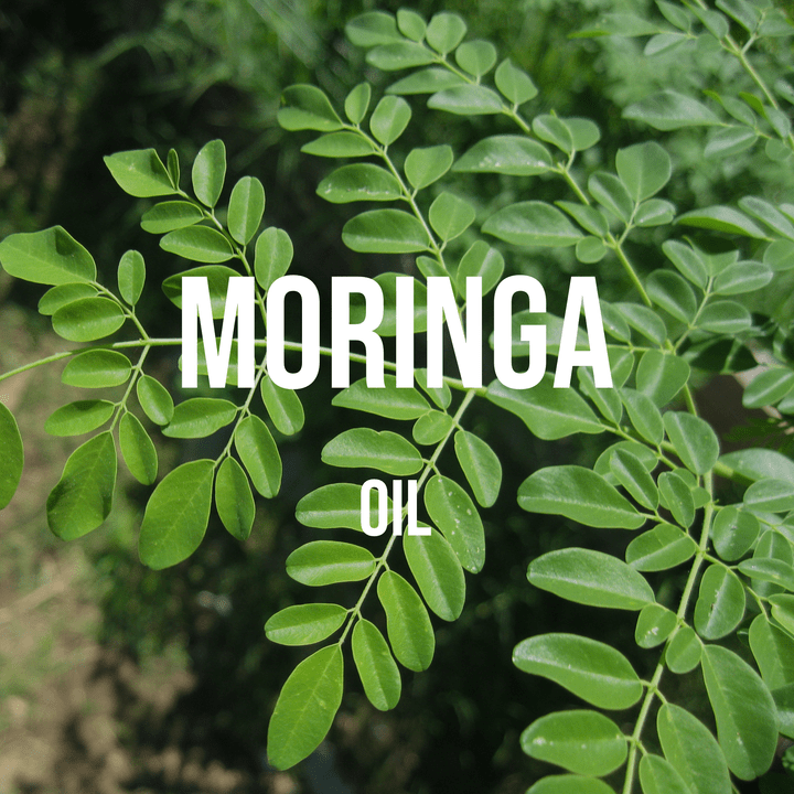 Moringa Oil