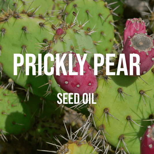 Prickly Pear Seed Oil