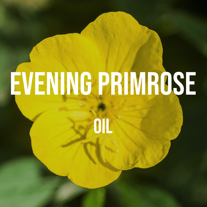 Evening Primrose Oil