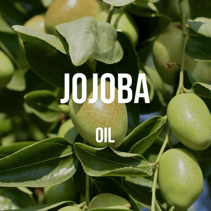 Golden Jojoba Oil