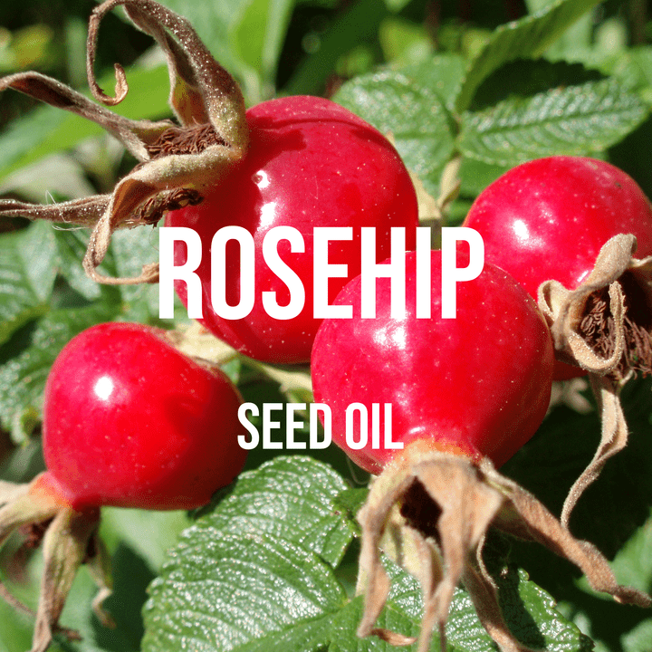 Rosehip Oil