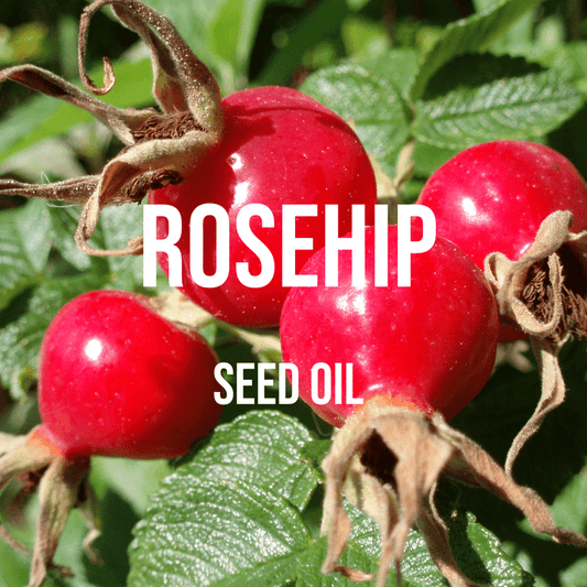 Rosehip Oil